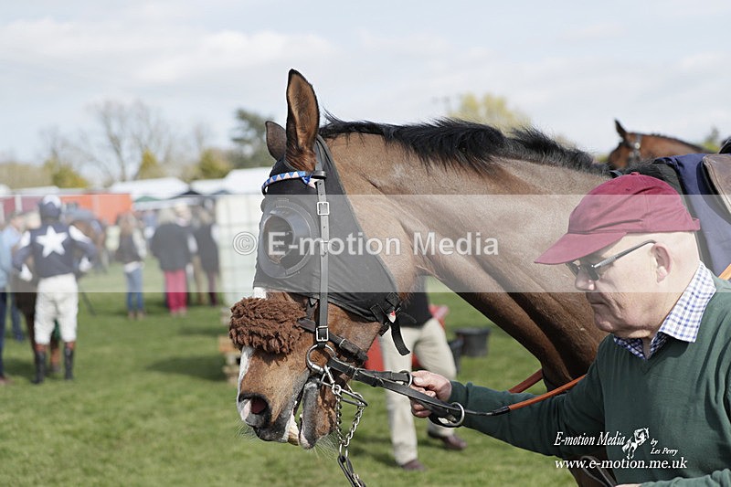 PtP 080423 482 - Dingley Races The Woodland Pytchley Hunt PtP 08/04/23