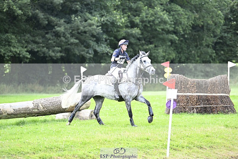 240804-153155-18290 - 623-Max_Forster-SIXTIES_SCION_OF_CLOONISLE