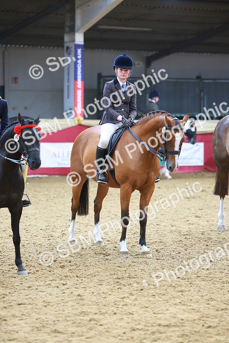 SBM_12647 - Class 103 - HOYS Veteran Qualifier - Ridden Pre Vet