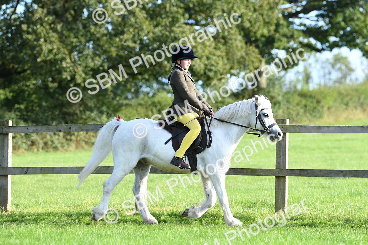 SBM_53986 - S23 - 1st Ridden Mountain & Moorland Pony