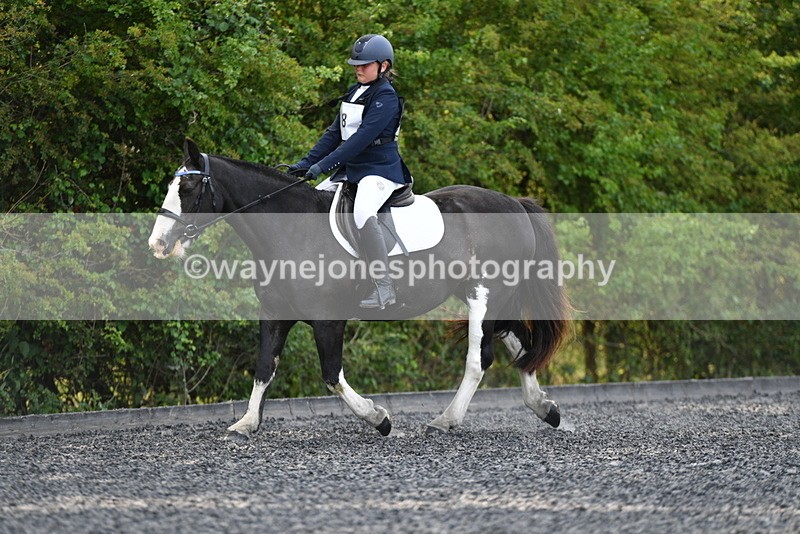 WJ5_9156 - Time 10:10 to 10:47