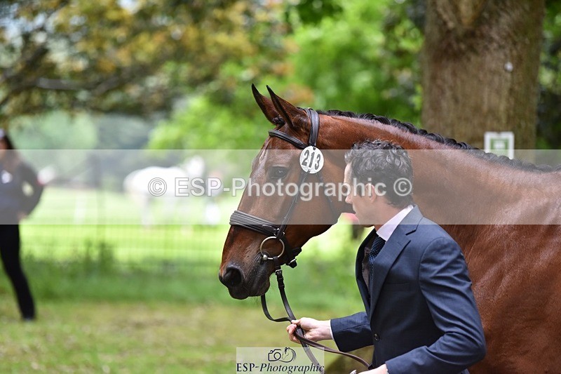 240522-163512-01026 - 213-GLOBAL_KARINA-Hector_Payne