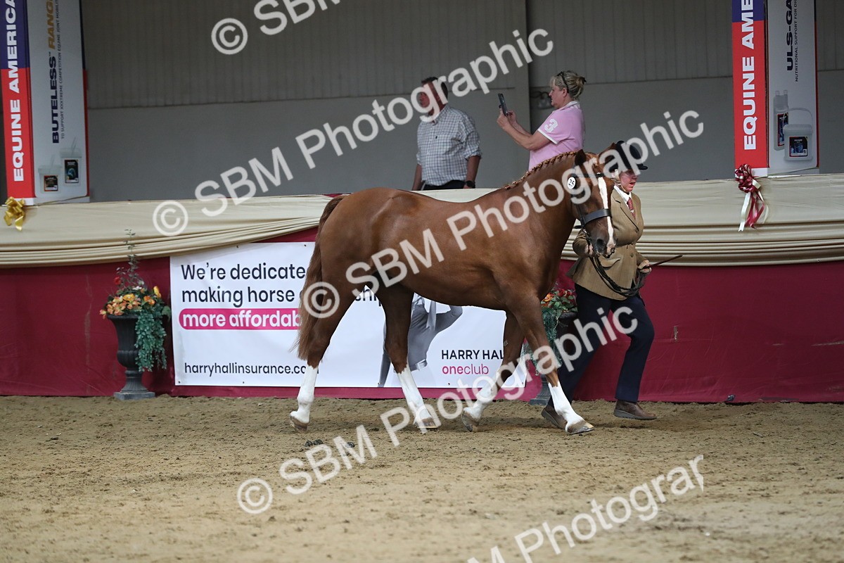 SBM_06540 - Regional IH Champ