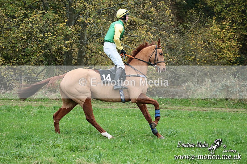 PtP 091124  567 - Knightwick Races Point-to-Point 09/11/24