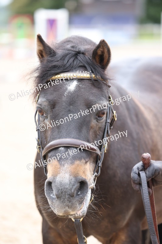 20250524-0757 - Class 7 - Veteran