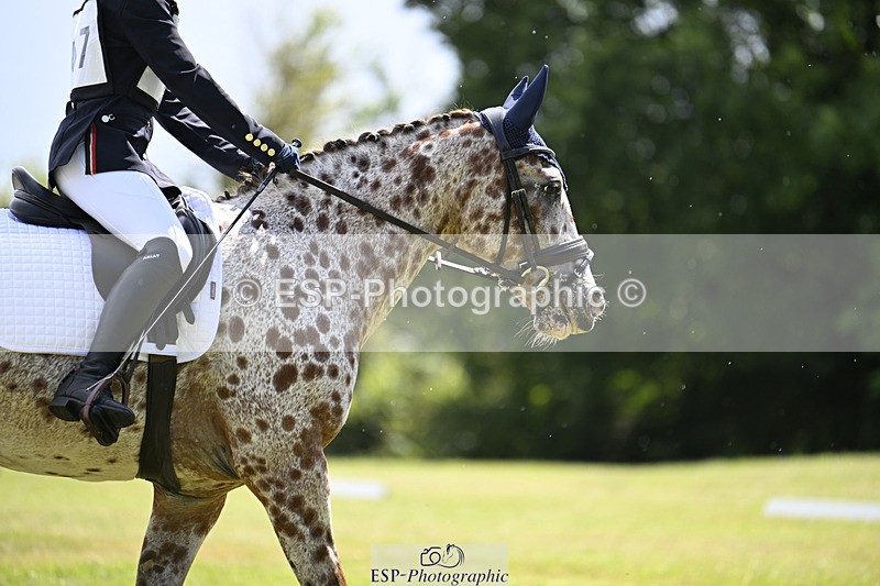 240824X-125700-26629 - D80 Section E and F 12.00 to 13.20