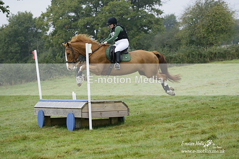 WWHT 171021 0087 - Novice Restricted (0.80m)  17/10/21