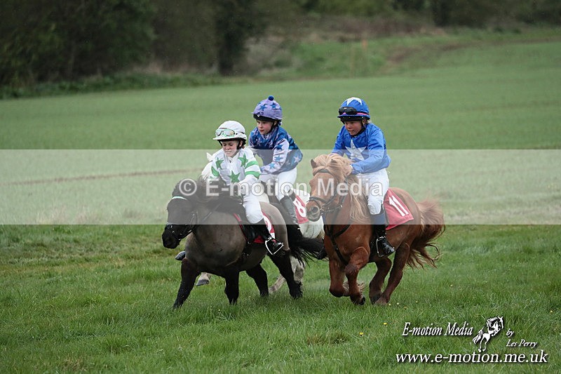 SHETPR 210425 180 - Shetland Ponies Paxford Races 21/04/25