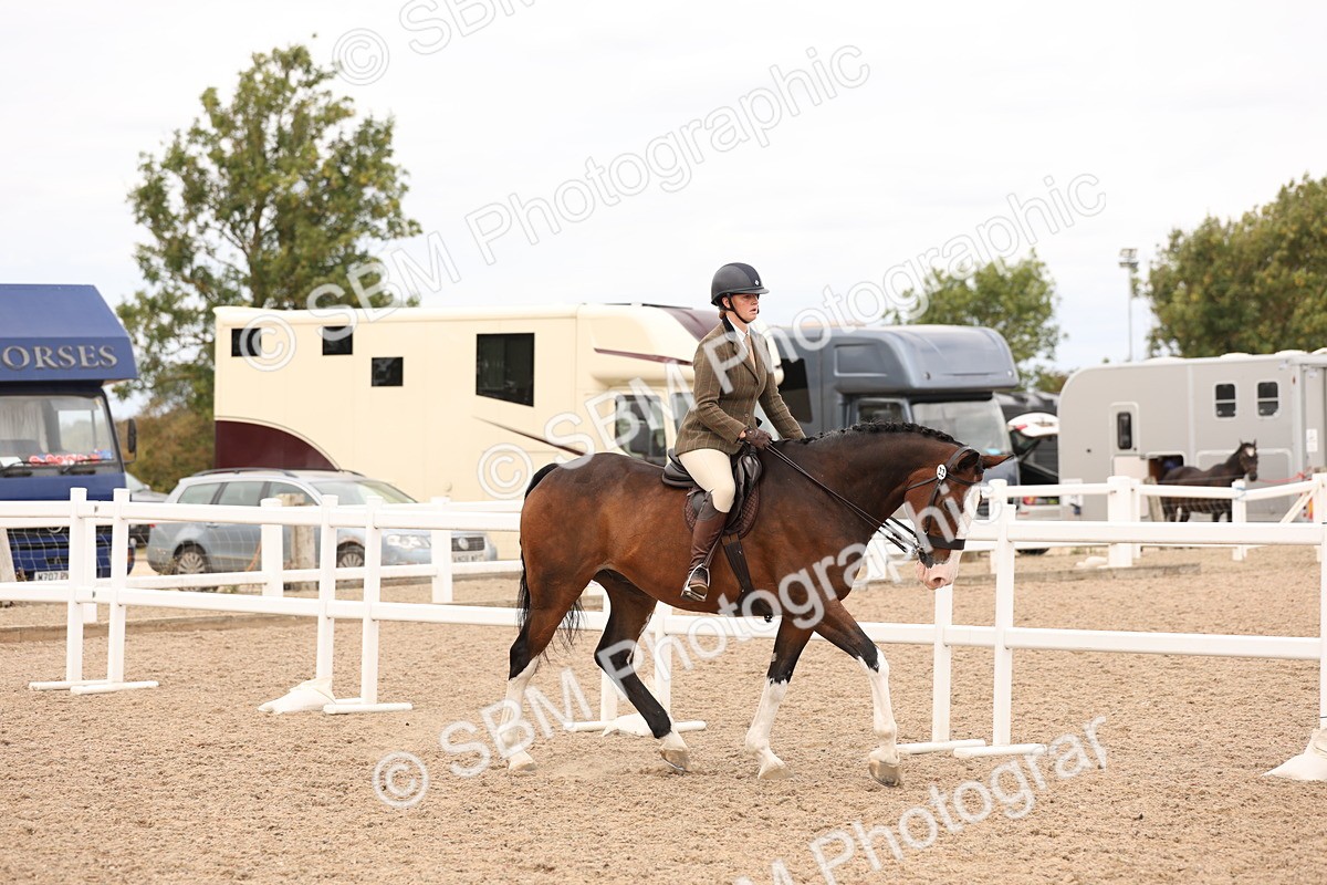 SBM_17199 - Class 213 - Ridden Hunter - Large