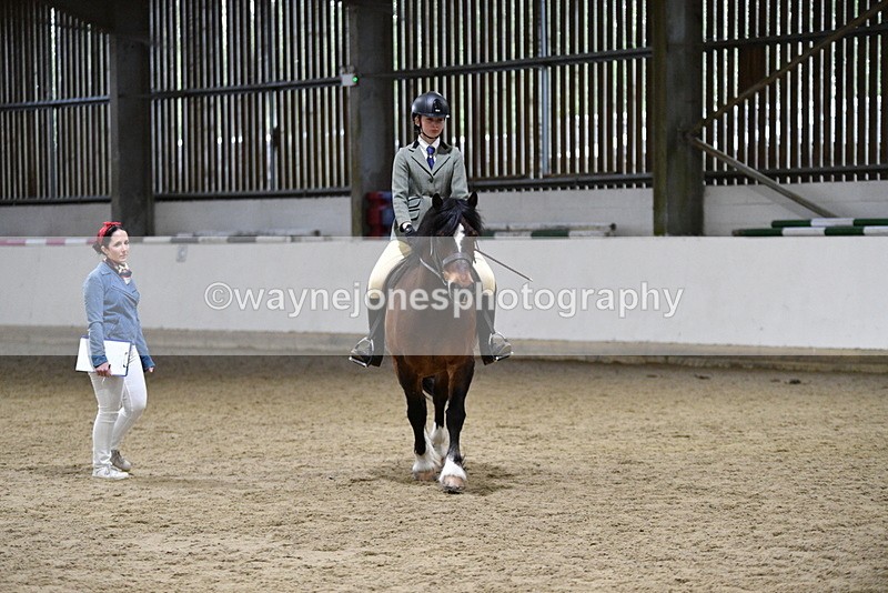 WJ5_8485 - Class 14 Novice Ridden/Rider