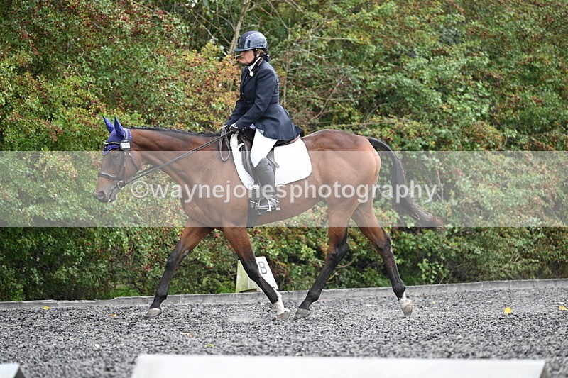 WJ7_6484 - Time 14:49 to 15:14