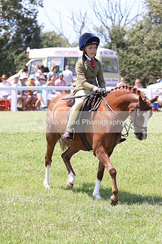 JPP_2755 - Class 21: Working Hunter 60cm