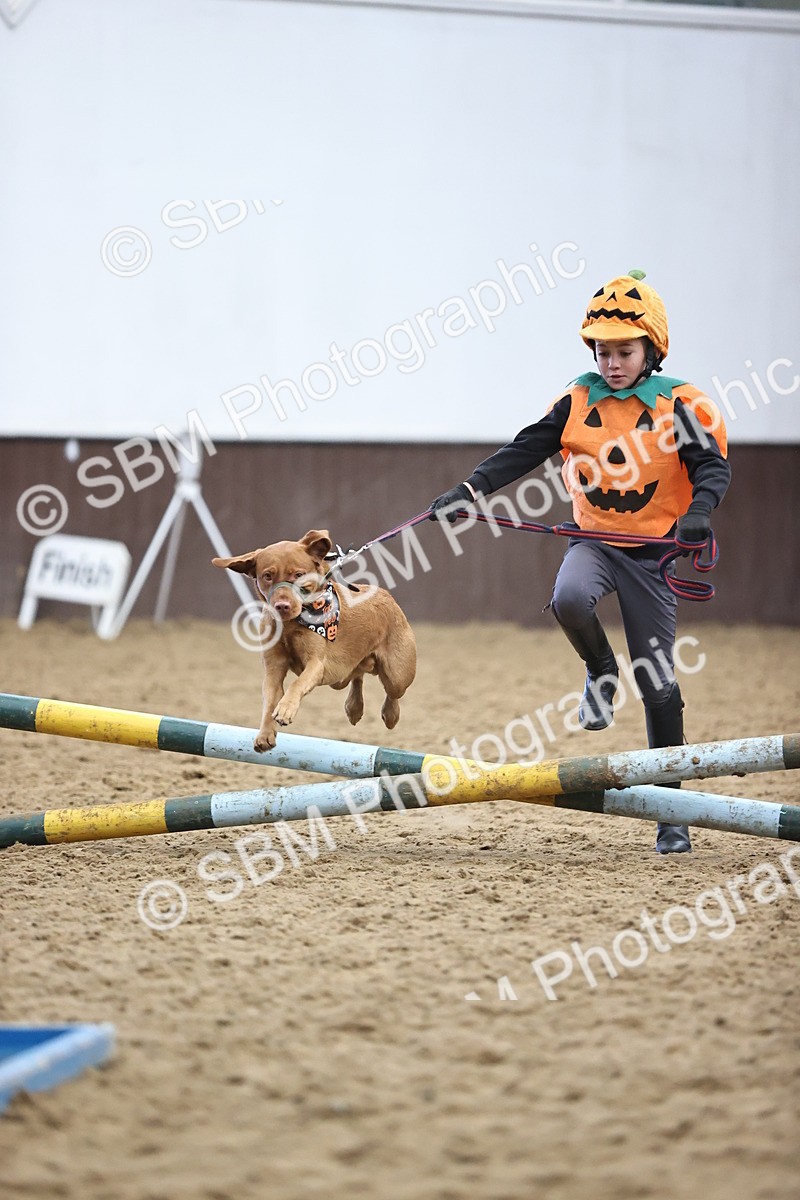 SBM_001367 - Class 3 - Horse & Hound 60cm