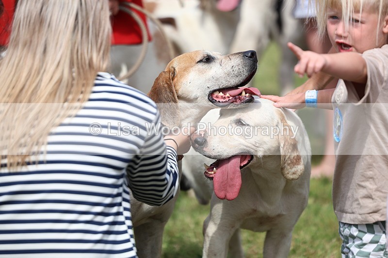 3E7A0218 - Parade of Hounds