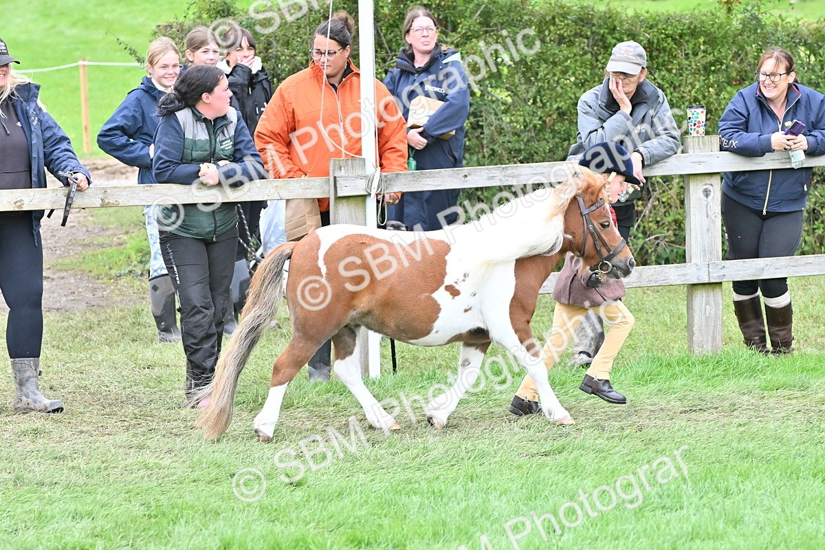 SBM_66779 - S41 - Junior Handler 8 Years & Under