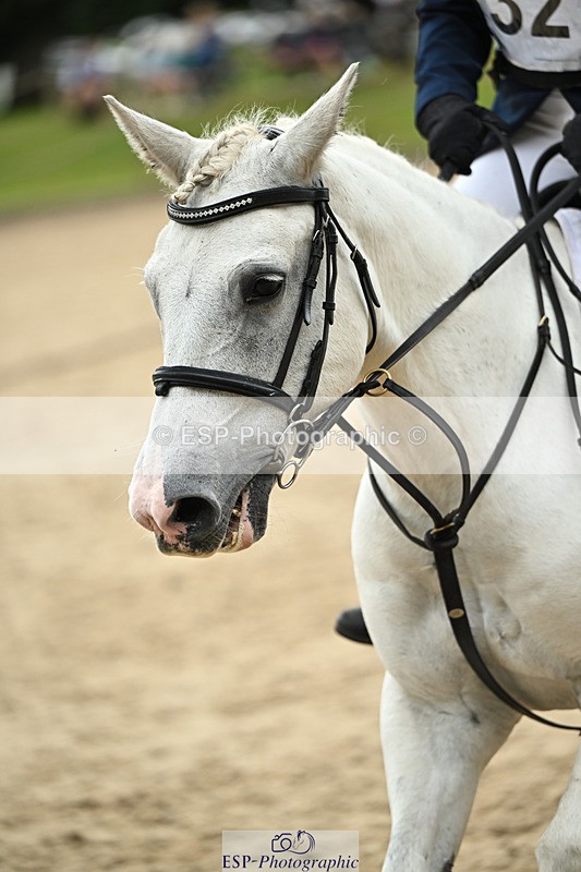 240822X-150151-10658 - 50cm R1 15.00 to 16.00