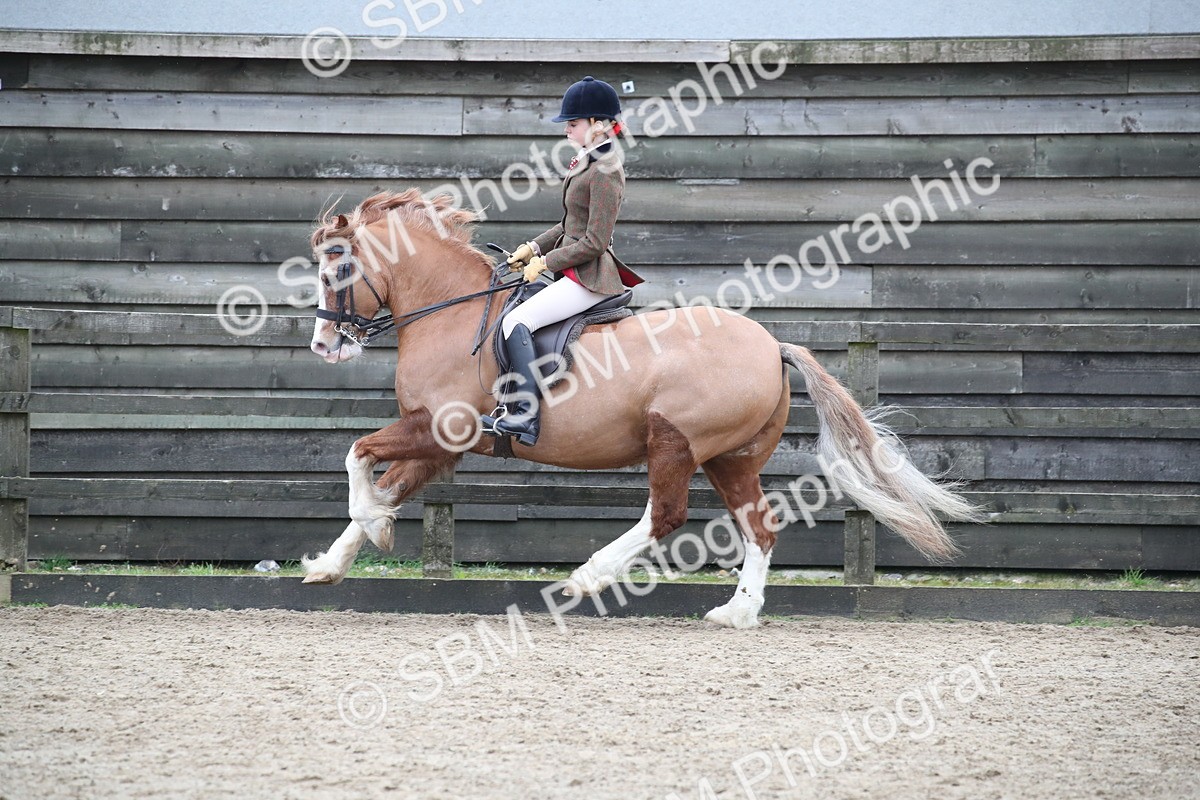 SBM_007237 - Class 10-13 - RIHS Small Large Breeds