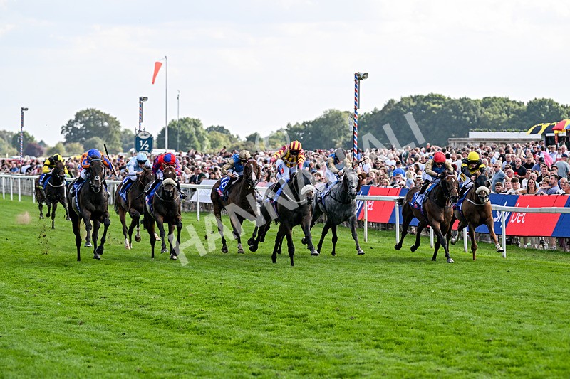 220826-Race 5-Sondad-1069 - Race 5 16.10pm Sky Bet Constantine Handicap