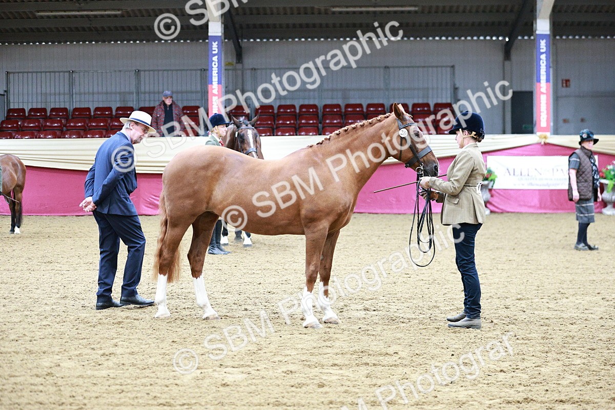 SBM_00261 - Class 1A - Area IH Diamond