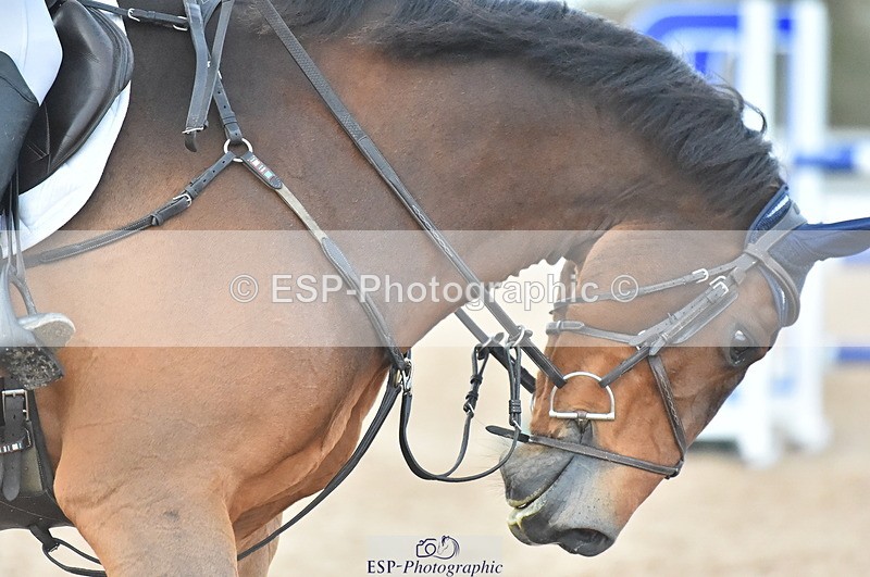 231111A-151336-02434 - Cls 14 Blue Chip 1.25m Winter Qualifier