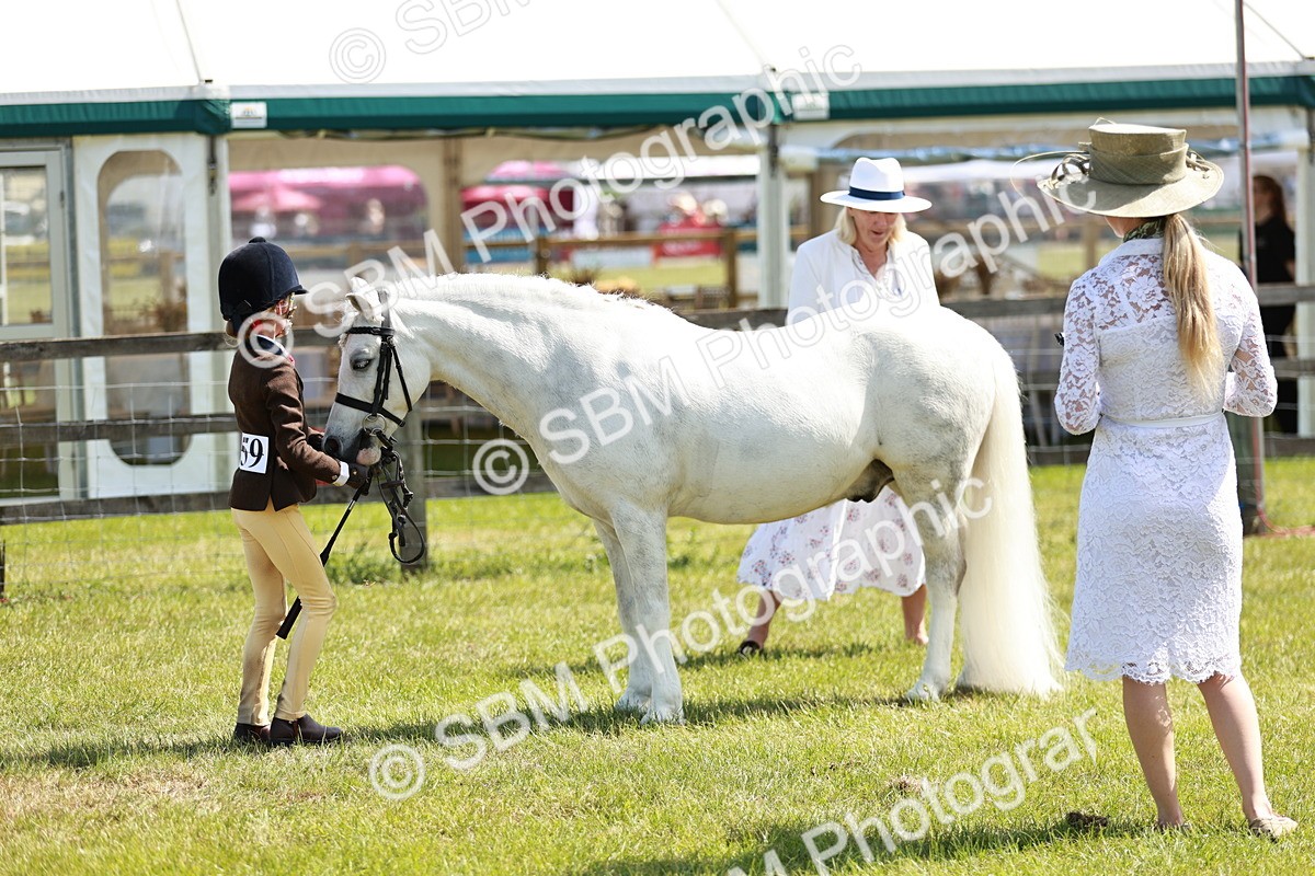 SBM_13573 - Class 108-109 - BSPS LIHS Open Gradle & Nursery Stakes