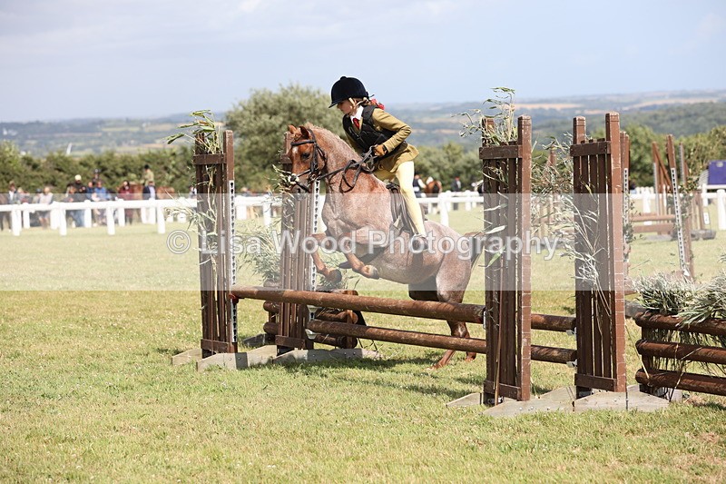 JPP_2129 - Class 19: Working Hunter 60cm