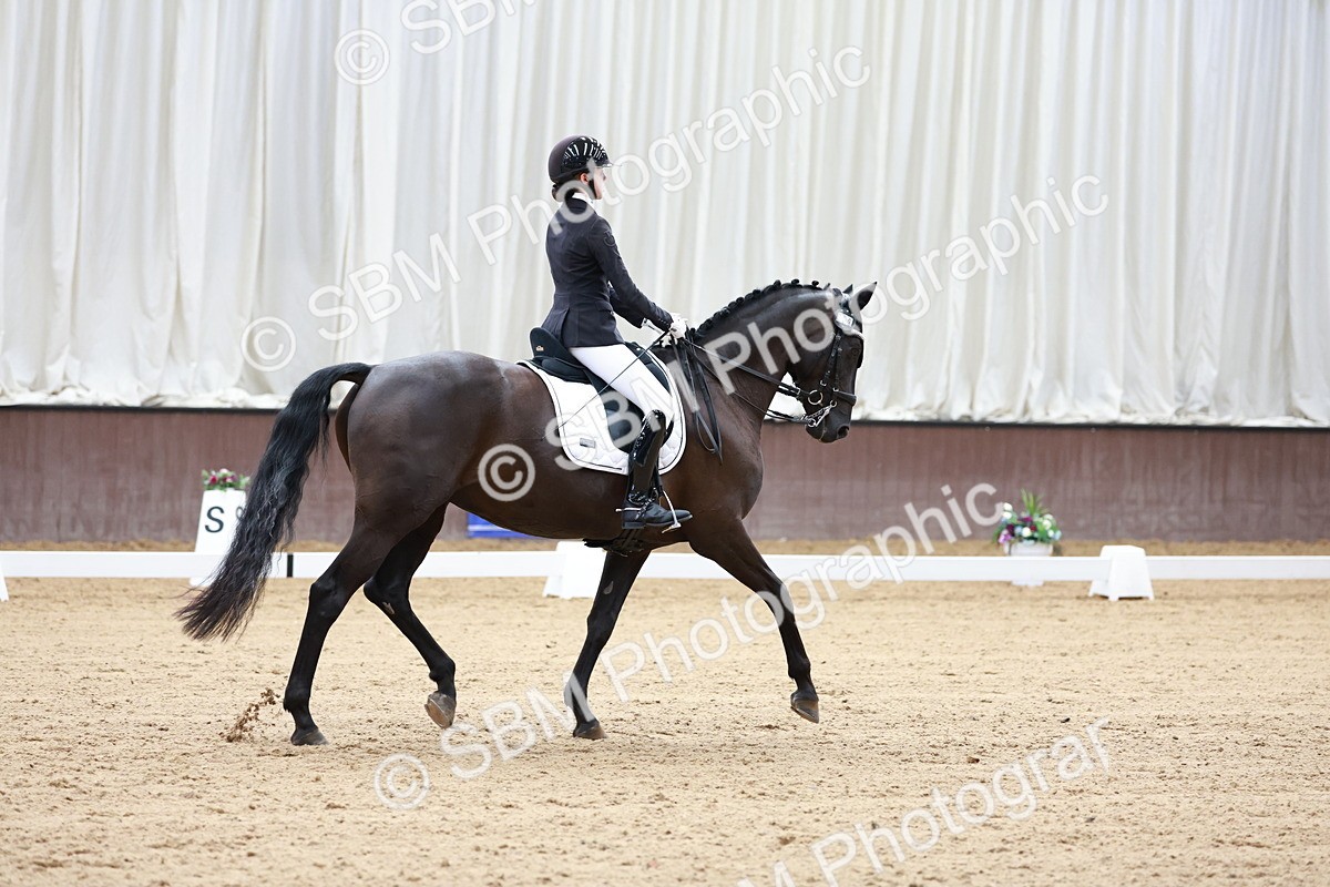 SBM_017734 - Class 15 - FEI Junior