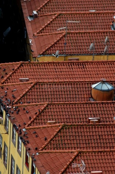 R.R.Tops - Porto