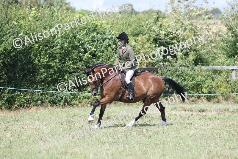 20250831-2944 - Class 19 - Mountain and Moorland