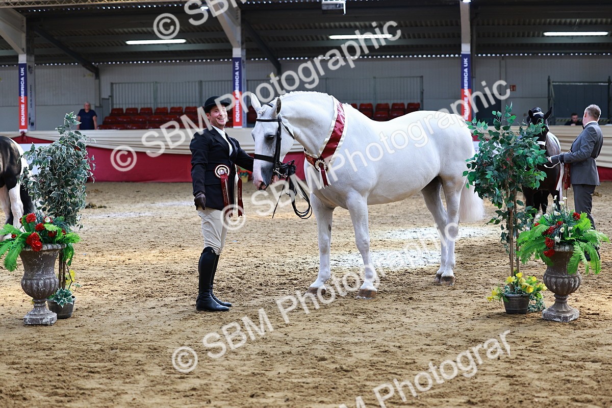 SBM_23298 - Class 903 - Supreme Final - IH Pre Vet