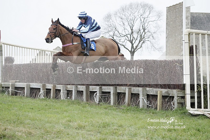 PtP 040323 822 - Duke of Beauforts Hunt Point-to-Point Didmarton 04/03/23