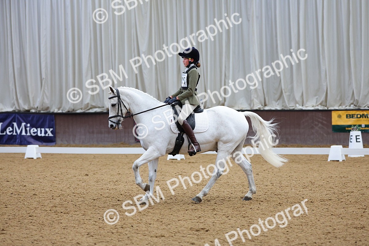 SBM_002564 - Novice