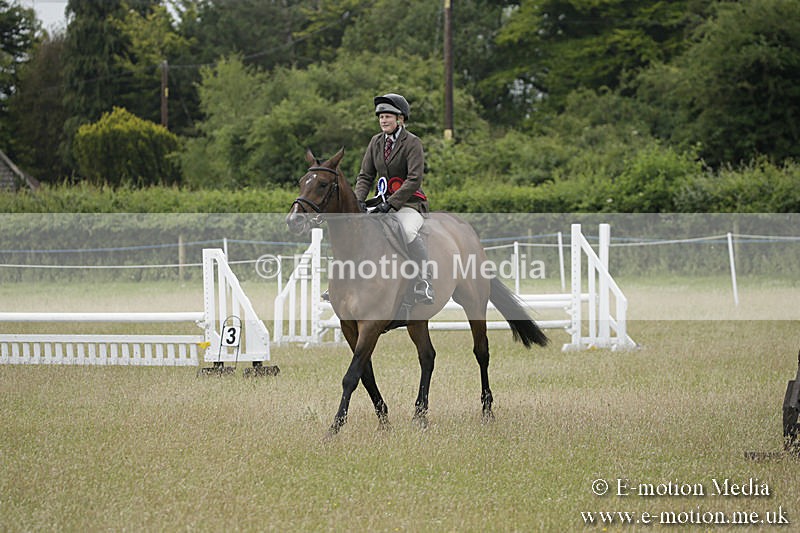 B230619-0029 - Bourne Valley Riding Club Summer Show 23/06/19