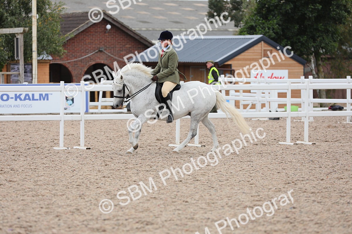SBM_18074 - Class 316 Best Pony/Rider Combination