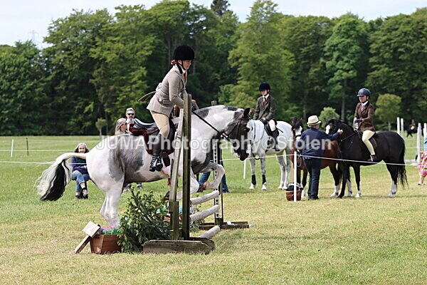 IMG_3227 - Working Hunter