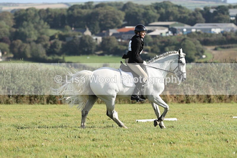JPP_7905 - Class 2A: Trekenning Open: Dressage