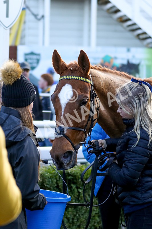 010124-Race 4-Justus-4175 - Race 4