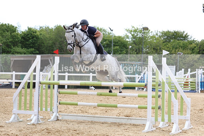 3E7A7573 - Class 8: Senior Foxhunter/1.20 open