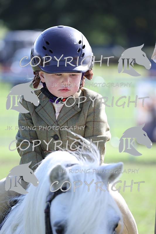 APP_3885 - Class 13 Lead rein