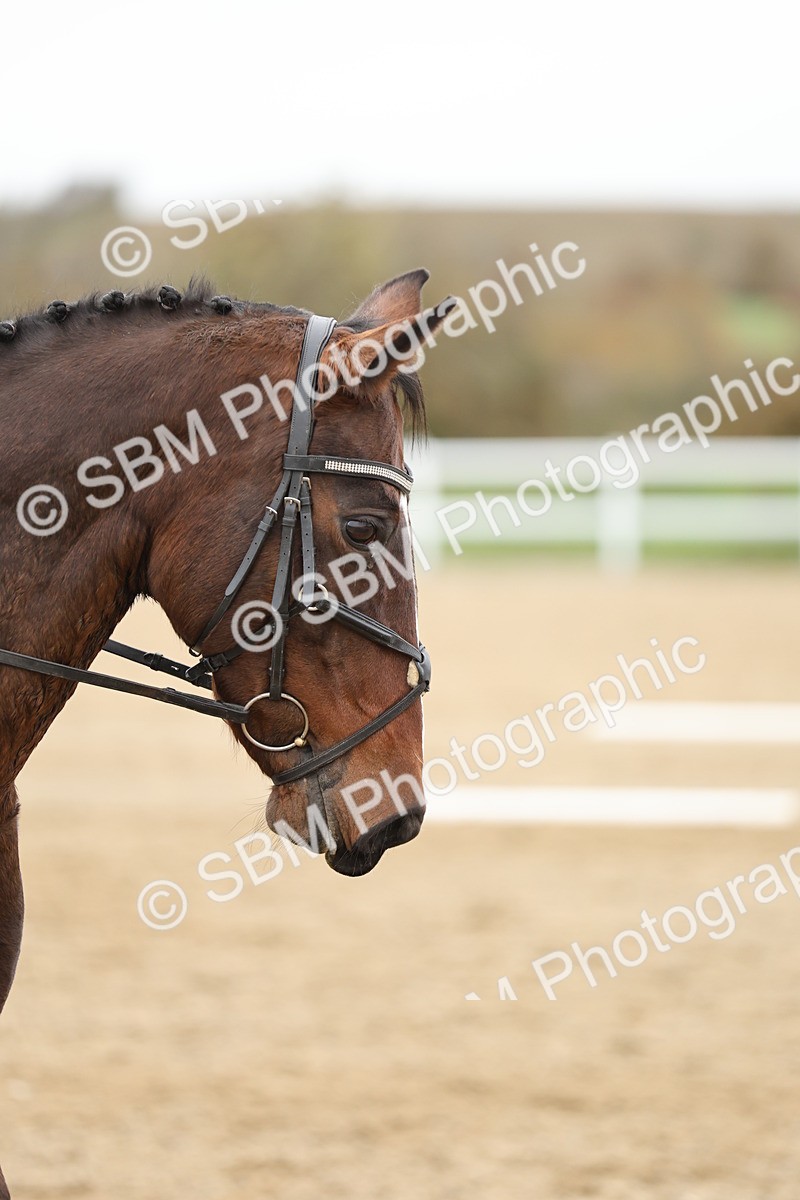 SBM_003816 - Class 9-12 - Novice 2 Elementary 3