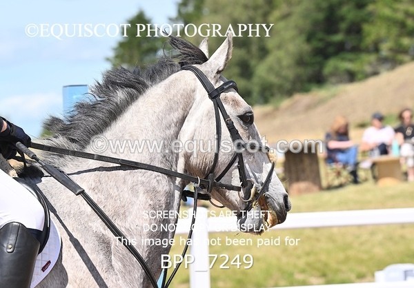 BPP_7249 - CLASS 14 FRI Nupafeeds Senior Dicovery/1m open