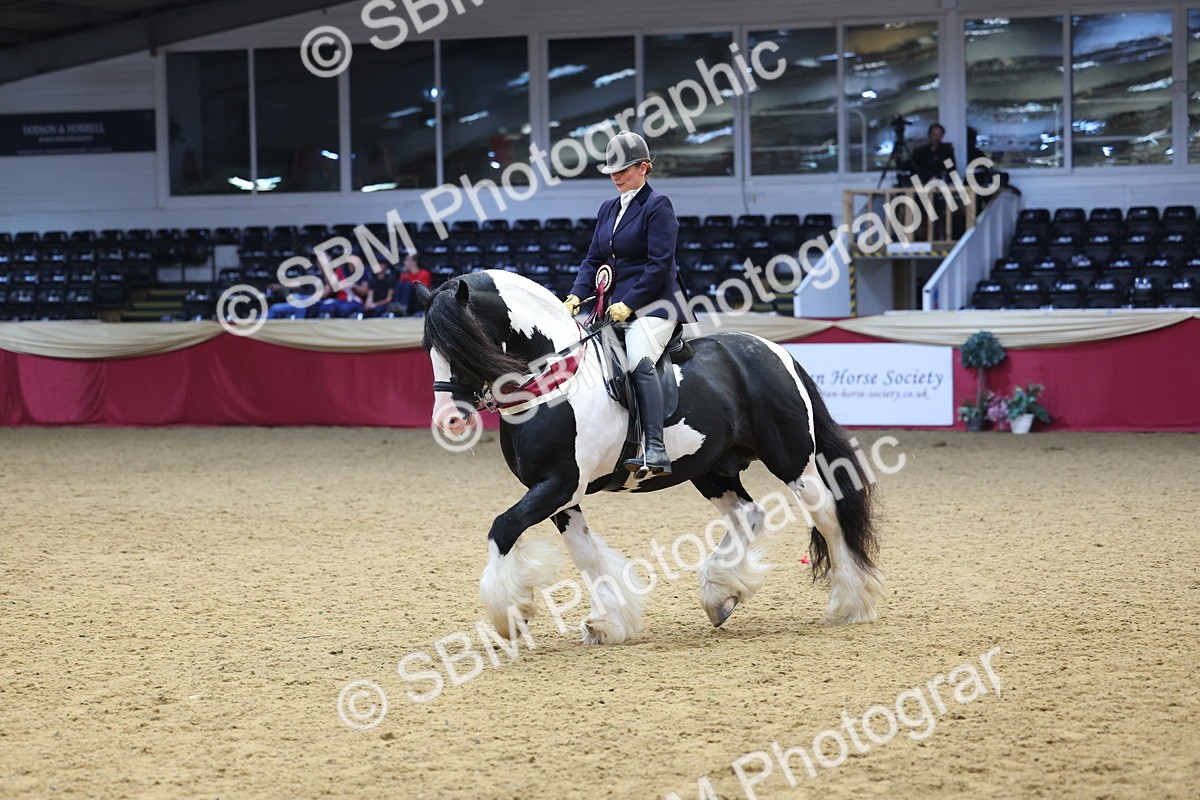 SBM_24232 - Class 905 - Supreme Final - Ridden Veteran