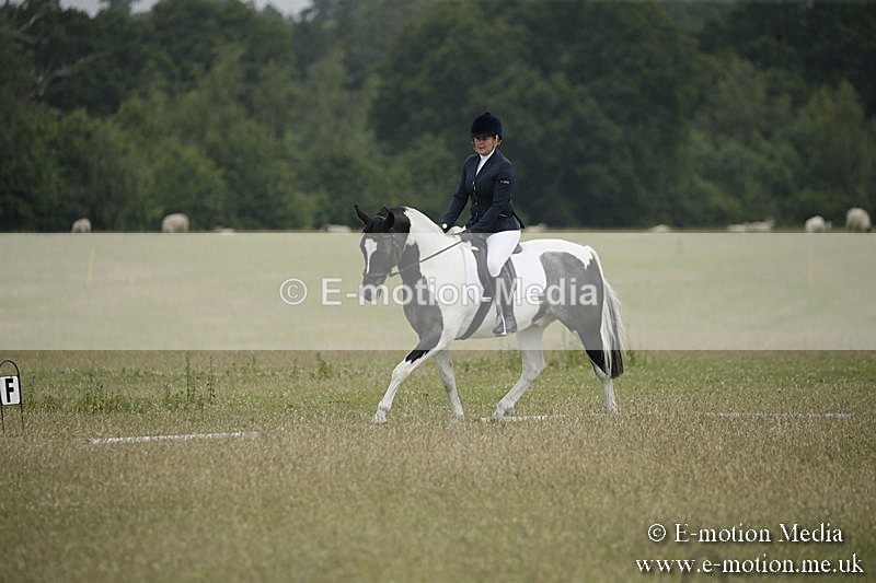 B230619-0372 - Bourne Valley Riding Club Summer Show 23/06/19