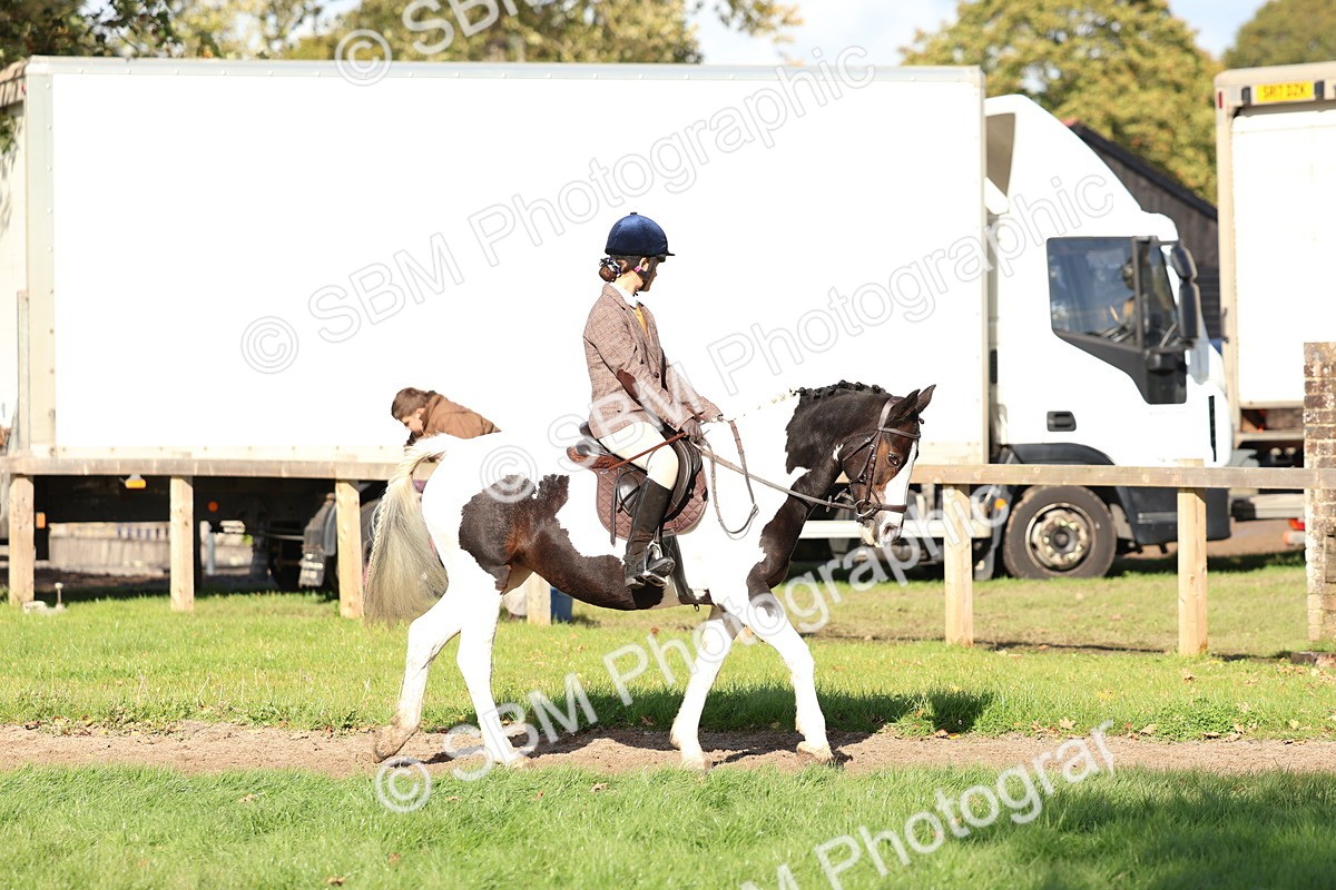 SBM_52361 - S13 - Pony Club Pony