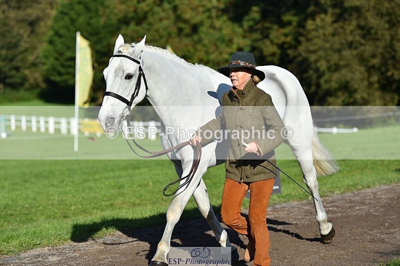 231022-103334-22564 - 459-CEIDE.HUMPHRY-Helen.Hickson-TrotUp+SJ