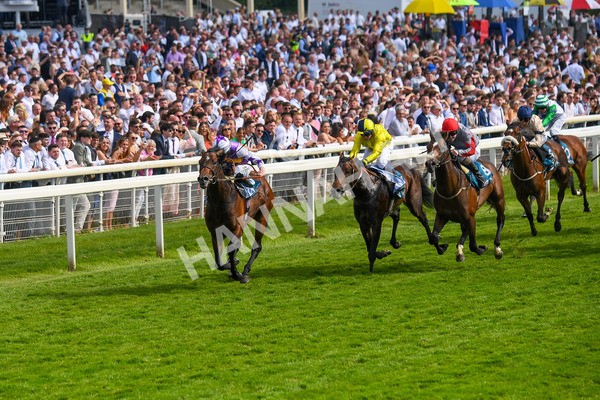270523-Race 6-Quantum Impact-0883 - Race 6 4.25pm Royal Yorkshire Regiment Handicap
