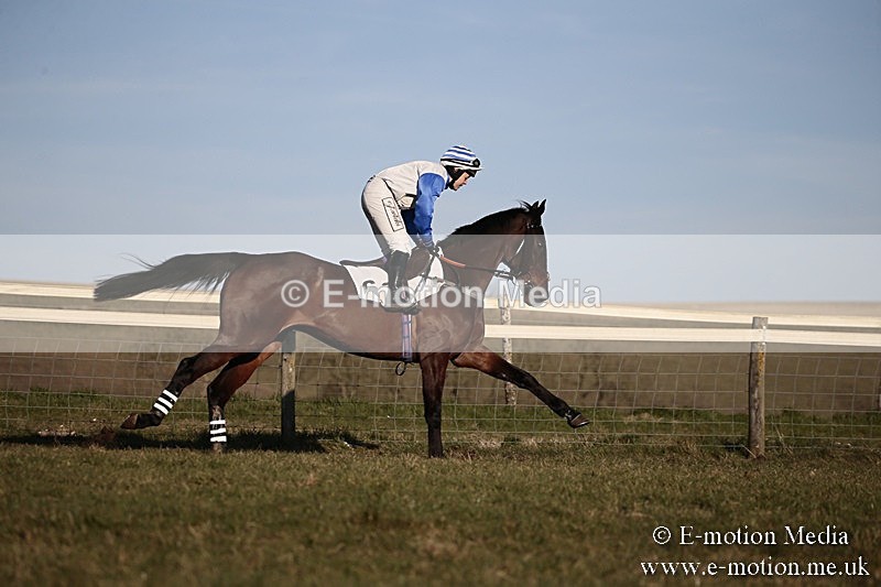 PtP 240218 654 - Vine & Craven Hunt Point-to-Point Barbury racecourse 24/02/18
