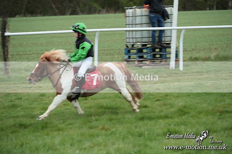 SHETPR 210425 218 - Shetland Ponies Paxford Races 21/04/25