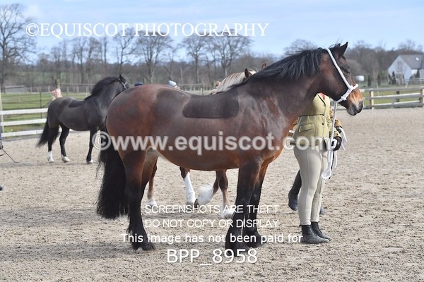 BPP_8958 - RING 2 - M&M