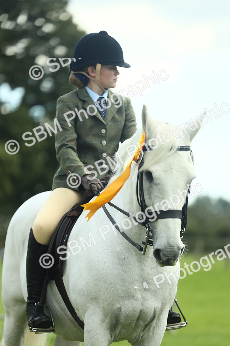 SBM_42238 - S29 - Novice & Newcomers Working Hunter Pony